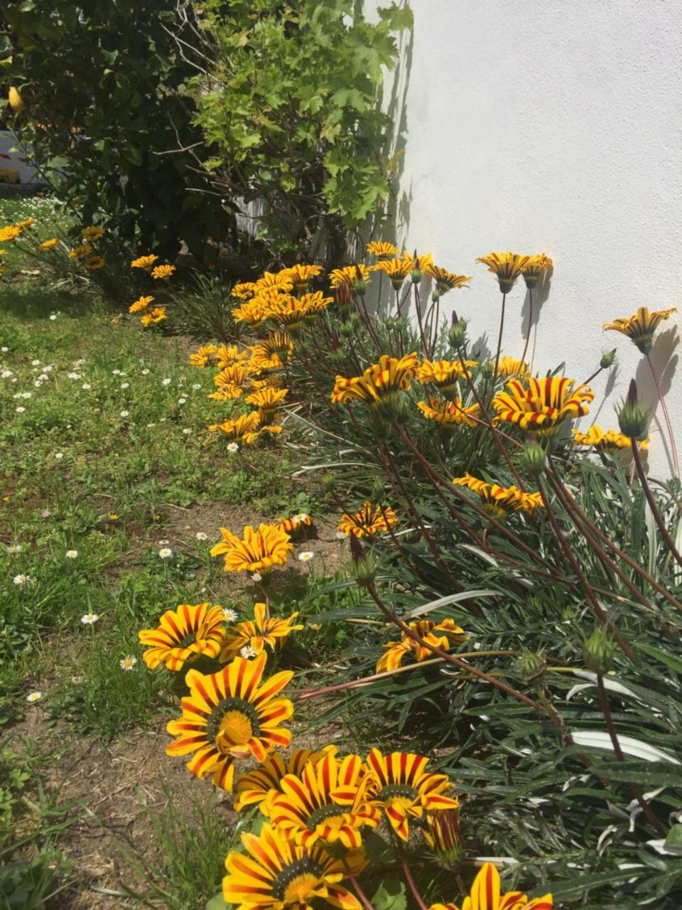 Maison La Fleur De Sel Anglet Bagian luar foto
